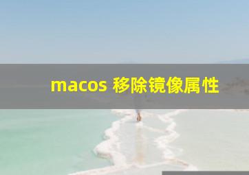 macos 移除镜像属性